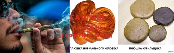 крисы Армянск