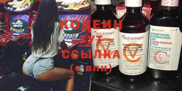 крисы Армянск