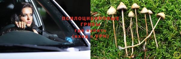 крисы Армянск